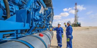 La OPEP descarta declive de combustibles fósiles esta década