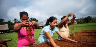 Produce destina S/ 15 millones para impulsar la innovación y el desarrollo productivo de Amazonas, Huancavelica, Huánuco, Loreto y Madre de Dios