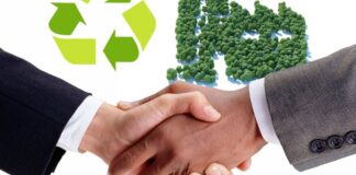 Apumayo y El Characato de Oro: Protector del medio ambiente