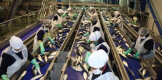Produce prepublica norma que propone cambios en reportes que presentan plantas pesqueras ante la OEFA
