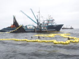 Malas perspectivas para la pesca primaria de exportación