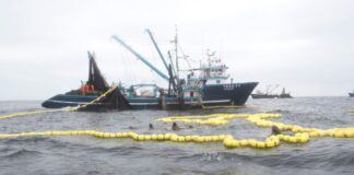 Malas perspectivas para la pesca primaria de exportación