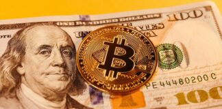 Criptomonedas estables: conoce 5 opciones para resguardar tus ahorros en dólares y euros