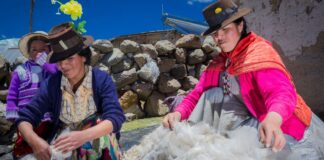 Allin Ruray: Programa que comenzó como una iniciativa comunitaria y hoy exporta a mercados de Europa