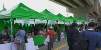 Mujeres que Avanzan: Línea 1 realizó feria con más de 20 emprendimientos liderados por mujeres