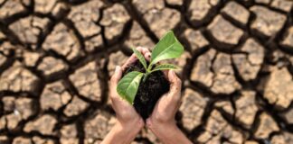 CAF invertirá USD 15.000 millones en adaptación y gestión de riesgos de desastres naturales