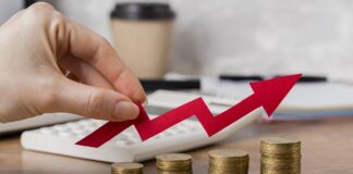 Pymes: Conoce las cinco opciones de inversión efectivas para el 2024