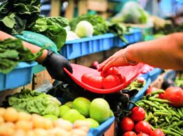 Expectativas de inflación a 12 meses bajan en noviembre a su menor nivel en 27 meses