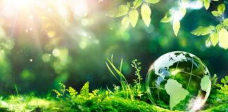 Hitachi recibe el Sello Terra Carta de la Iniciativa de Mercados Sostenibles 2023