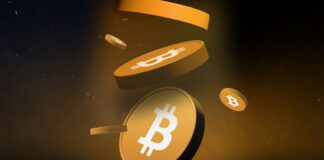 ¿Cuáles son las 3 criptomonedas que cierran el 2023 con mayor rendimiento en intereses?