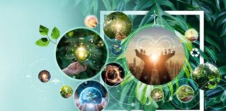 Fomentando la Economía Circular mediante las 7R: Un Propósito de Año Nuevo para Preservar el Medio Ambiente