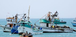 Produce amplía vigencia de permisos de pesca para cooperativas pesqueras hasta el 30 de septiembre de 2024