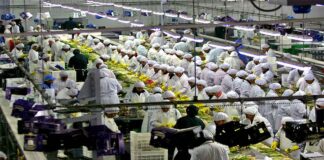 Exportaciones a la Unión eEuropea sumaron us$ 6 mil 220 millones