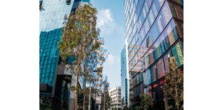 Oficinas sostenibles: Una apuesta que se fortalece