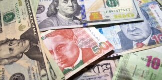 Más de 375,040 emprendedores de todo el país han sido beneficiados con créditos otorgados por Caja Piura