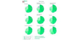 El 41% de los peruanos tiene como meta prioritaria a corto plazo invertir en tecnología