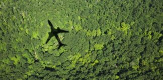 Siemens y LATAM compensan más de 4.000 toneladas de CO2 en proyectos de conservación en Sudamérica
