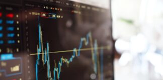 Volatilidad y políticas monetarias: dos pilares imprescindibles para inversores