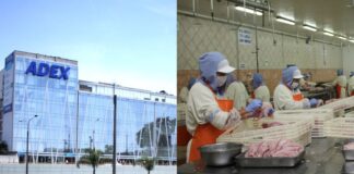 Piden seguir impulsando pesca para consumo humano directo