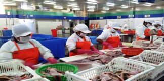 Número de empleos generados por exportaciones cayó -4.9% en el 2023