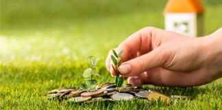 ¿Ahorrar o invertir? Recomendaciones para hacer que tu dinero crezca