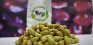 Perú exportó legumbres por US$ 135 millones