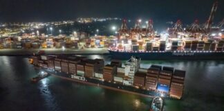 DP World Callao le da la bienvenida al nuevo servicio albatros (ZAT) de la línea naviera ZIM