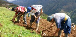 Scotiabank eleva proyección de crecimiento de Perú a 2.7% ante un Fenómeno El Niño débil