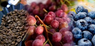 Número de productos de canasta agroexportadora del Perú creció 3.9%
