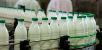 La industria registró su segunda mayor caída de los últimos 34 años, cerrando el 2023 con un descenso de 6,7%