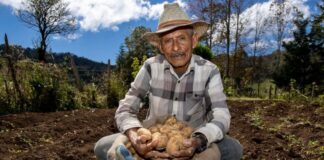 Midagri financiará créditos para reactivación económica del sector agrario