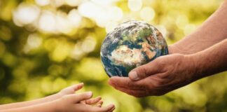 Cuidando el planeta desde un diseño sostenible para viviendas
