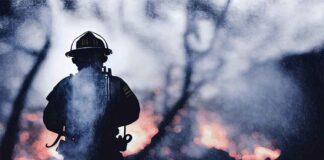 PACTO GLOBAL CHILE: Diez formas en que las empresas pueden ayudar a los damnificados de los incendios forestales