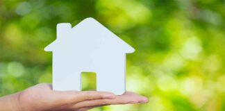 Vivienda verde: Descubre todas las características de un departamento ecológico