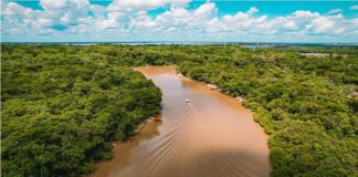 Día Mundial del Agua: Cinco razones para proteger y cuidar los ríos de la Amazonía