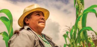 Día de la Mujer: Empoderamiento e igualdad de género en la agricultura