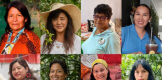 Innovación y empoderamiento: Ocho mujeres exitosas que impulsan la economía circular de Perú con apoyo de la Unión Europea