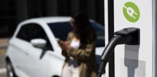 Ruta verde: ¿crecerá la venta de vehículos ecoamigables?