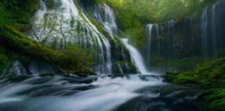 ¿Cómo utilizamos el agua del planeta?