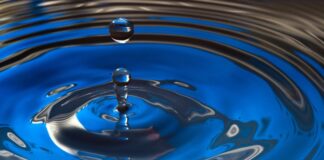 Día Mundial del Agua: Las industrias desperdician entre 45% a 50% de este recurso