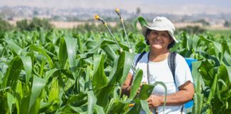 Financiera Confianza contribuye con la equidad de género en el sector agropecuario: Más del 30% de clientes en esta cartera son mujeres