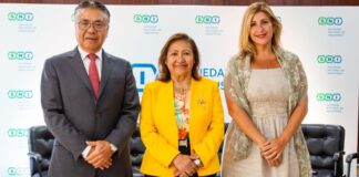 El 8,4% de las mujeres trabajadoras se desempeñan en la industria nacional