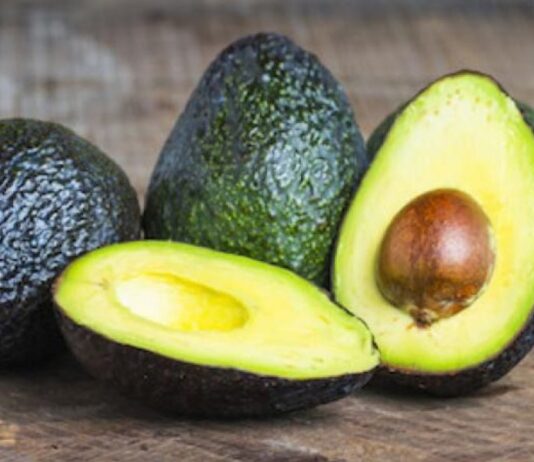 El Grupo Unifrutti adquiere Bomarea y AvoAmerica Perú para reforzar aún más su plataforma multifrutícola mundial