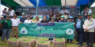 Electrocentro Y DRAJ lanzan programa de reforestación para sembrar 2 millones de árboles el 2024