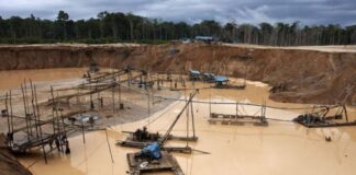 SUMMA GOLD: Empresa anunció suspensión de inversiones, tras avances de minería ilegal en el país