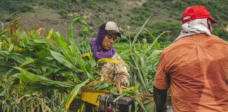 Gobierno asigna más de $382 mil millones para la democratización del crédito y el apoyo a la transformación productiva del campo colombiano