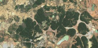 Fiscalía: Desde el 2019, hay más de 7,200 investigaciones por minería ilegal