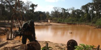 Innovación en la industria minera: Minería trazable como solución efectiva contra la minería ilegal