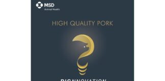 MSD Animal Health promueve la innovación y tecnología porcina con el Premio Pignnovation del High-Quality Pork 2024