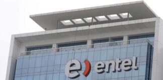 Entel planea expandir sus servicios en el mercado